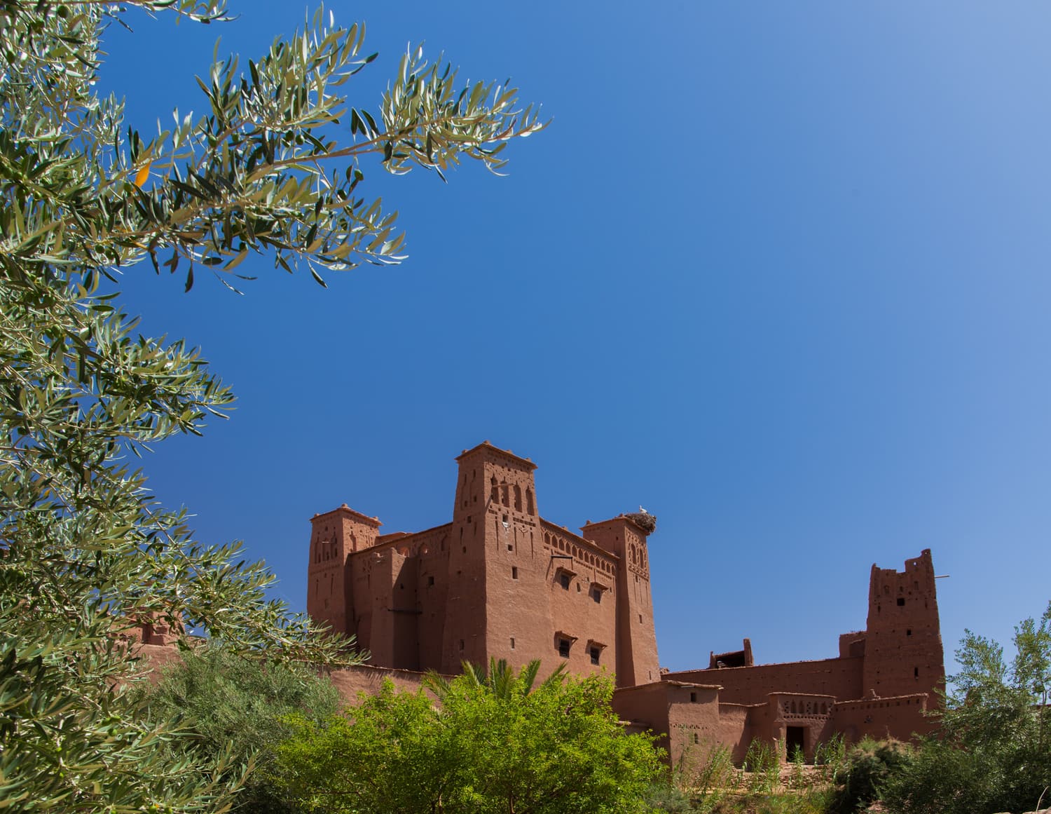 Earthen kasbah walls and palm terraces in the Ounila valley near Aït Benhaddou