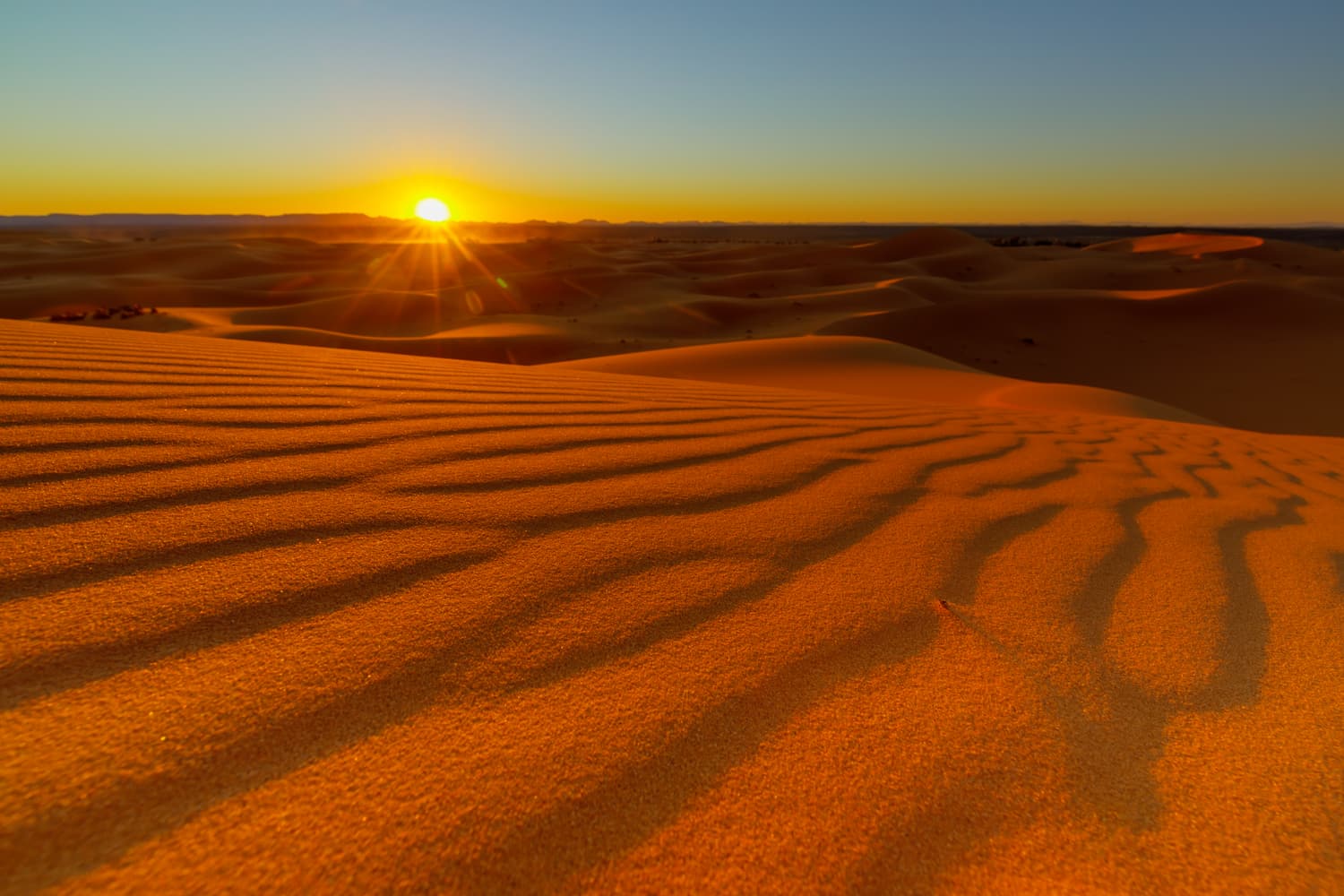 The orange dunes of Erg Chebbi glowing at sunset near Merzouga