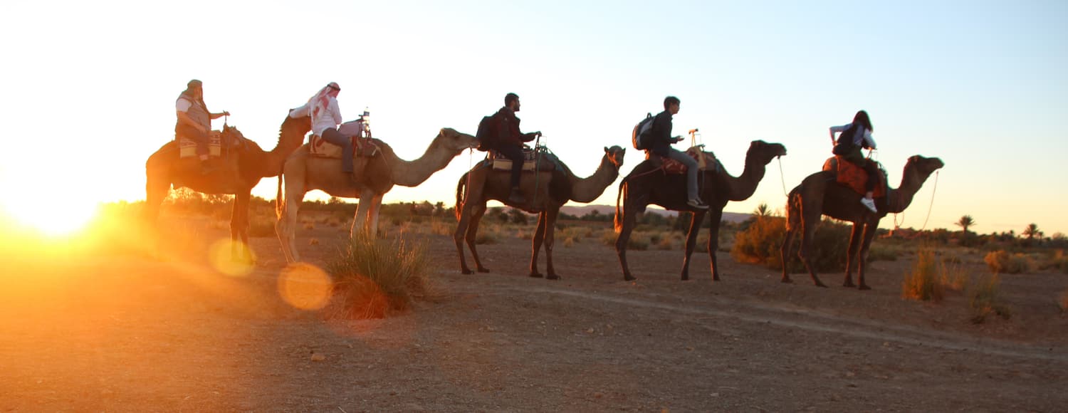 A camel train crossing the dunes at sunrise in the Moroccan Sahara